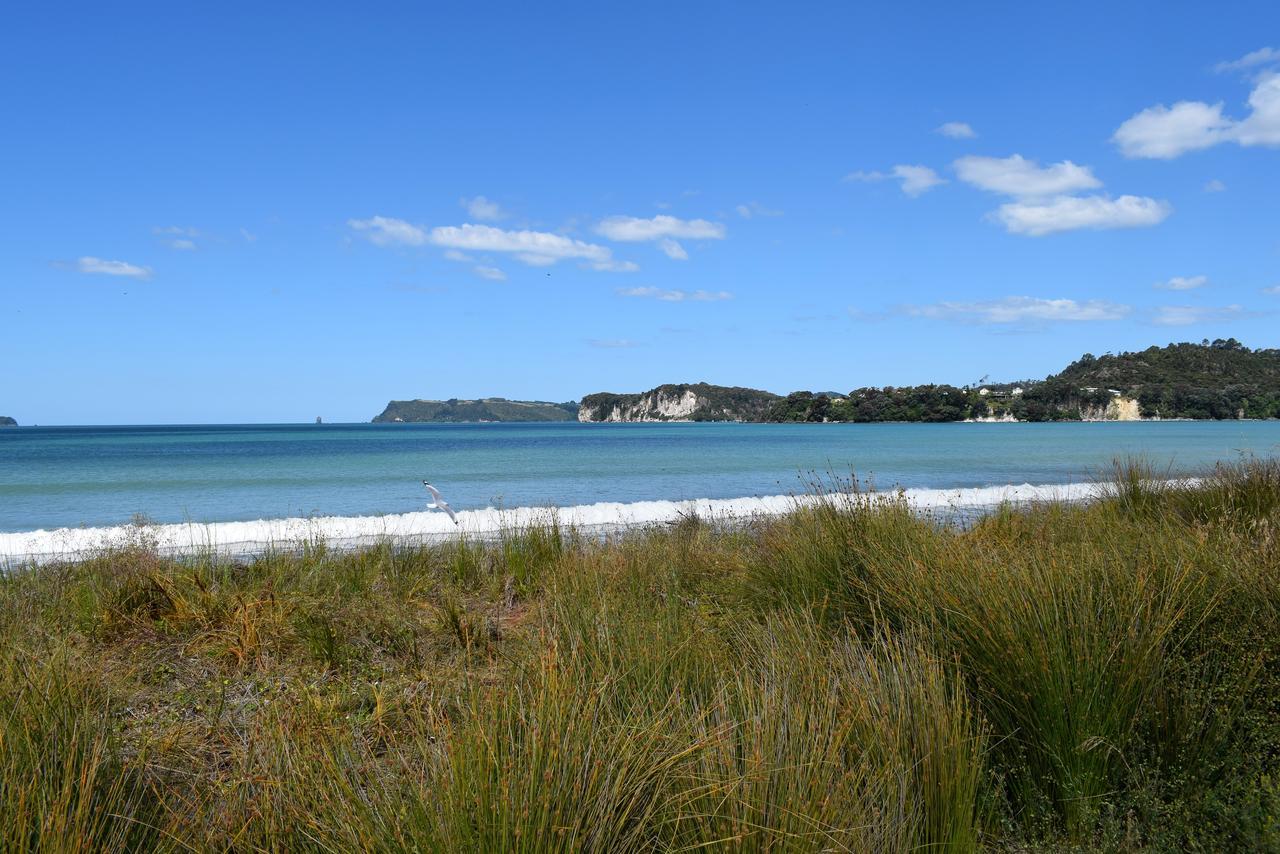 Paradise In Whitianga B&B Wells Place Exterior photo